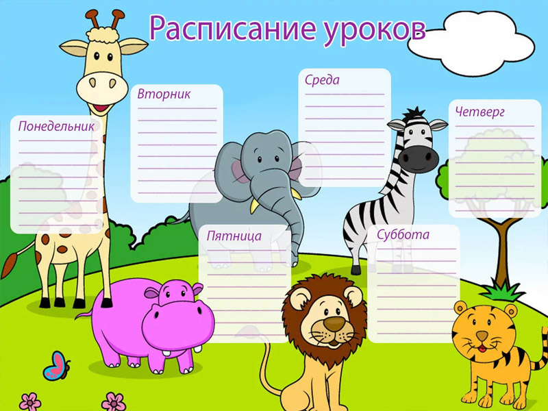 Расписания занятий